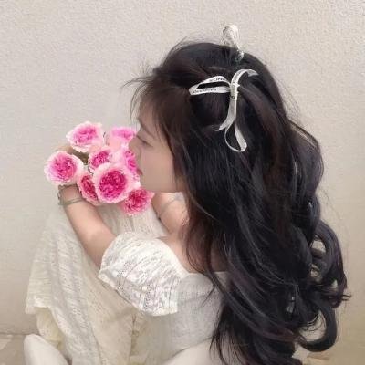 笨金鱼