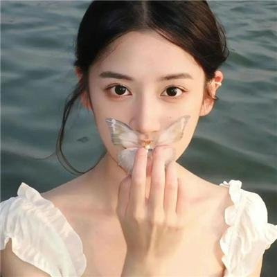 愤怒的蝴蝶